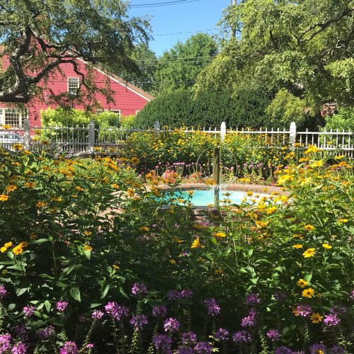 A vibrant garden filled with yellow and purple flowers surrounds a small fountain, with a red barn in the background.