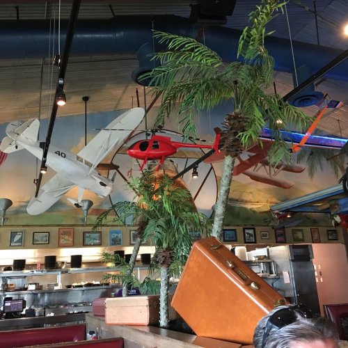 Colorful model airplanes hang on a mural in a restaurant, surrounded by tropical plants and a vintage suitcase.