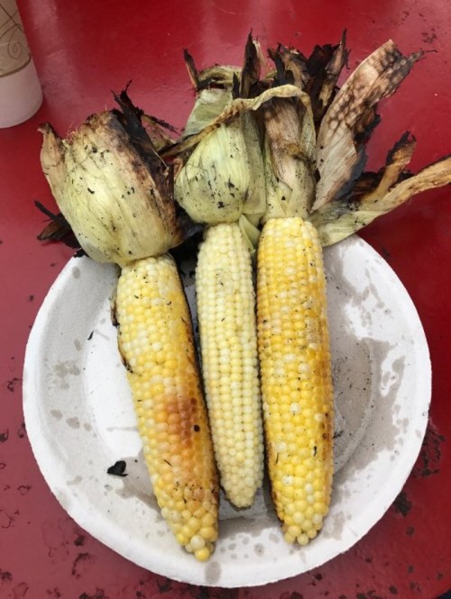 Three ears of grilled corn on a paper plate, with charred husks and varying shades of yellow kernels.