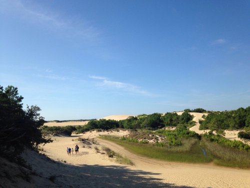 A sandy path leads through greenery, with a group of people walking in the distance under a clear blue sky.