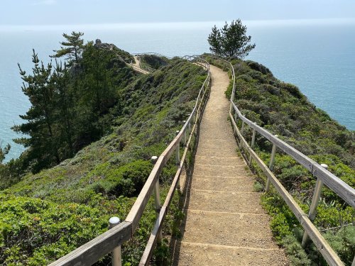A winding path leads along a coastal cliff, surrounded by greenery and overlooking the ocean.
