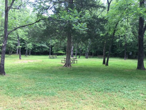 A serene park scene with green grass, trees, and picnic tables in a shaded area.