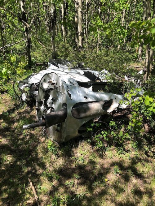 A wrecked aircraft fuselage lies among trees and greenery in a forested area.