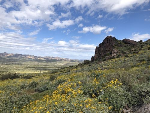 A scenic landscape featuring rolling hills, vibrant yellow wildflowers, and a rocky outcrop under a partly cloudy sky.