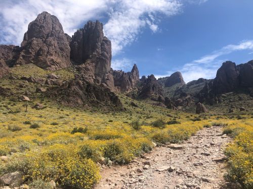 A rocky landscape with towering cliffs and a path surrounded by vibrant yellow wildflowers under a blue sky.