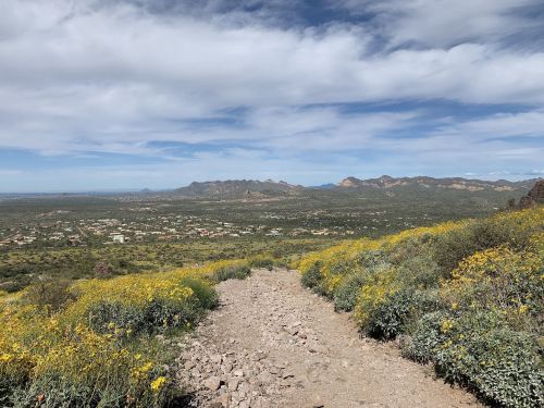 A rocky path leads through yellow wildflowers, overlooking a valley and distant mountains under a cloudy sky.