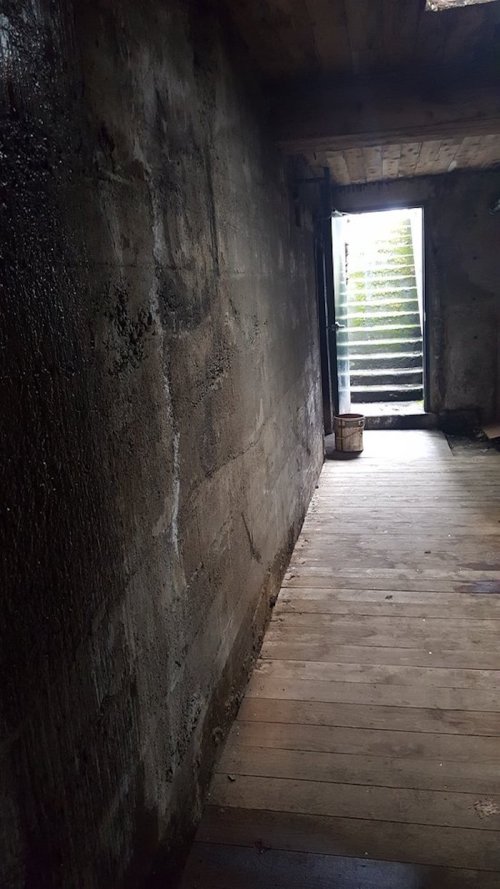 A dimly lit corridor with a concrete wall, leading to an open door and stairs illuminated by natural light.