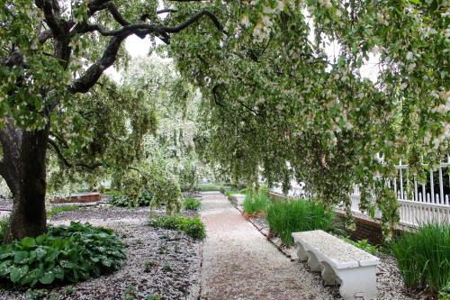 A serene garden path lined with flowering trees and benches, surrounded by lush greenery and scattered petals.