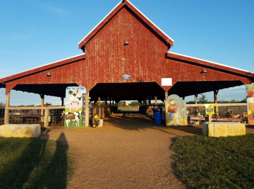 Red barn with open entrance, surrounded by green grass and blue sky, featuring colorful animal murals on the sides.