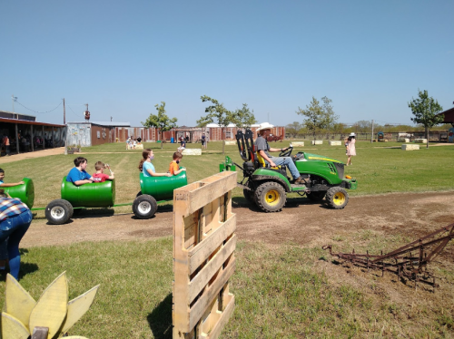 A tractor pulls a green barrel train with children and adults on a sunny day at an outdoor farm event.