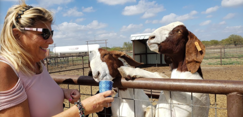 A woman smiles as she feeds two goats from a small cup at a farm under a blue sky.