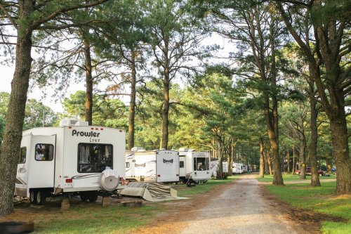 A tree-lined campground with several RVs parked along a gravel path. Sunlight filters through the branches.