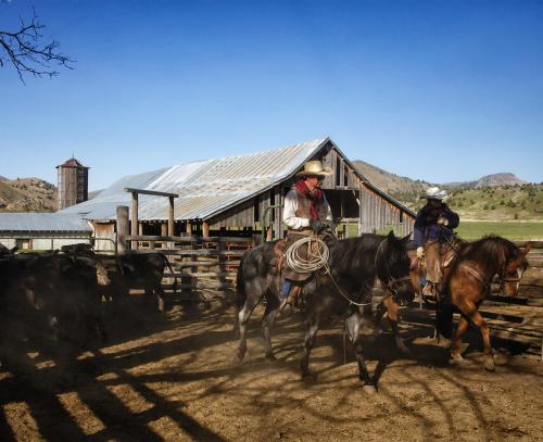 Two cowboys on horseback herding cattle near a rustic barn in a rural landscape.