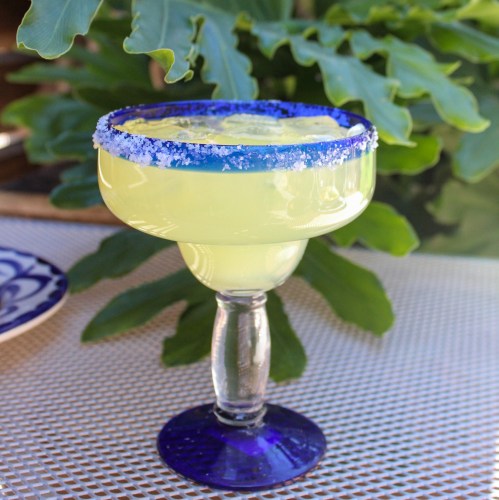 A vibrant margarita in a glass with a blue rim, set against a backdrop of green leaves.