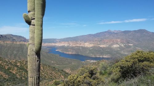 A tall cactus stands in the foreground, overlooking a scenic lake surrounded by mountains under a clear blue sky.