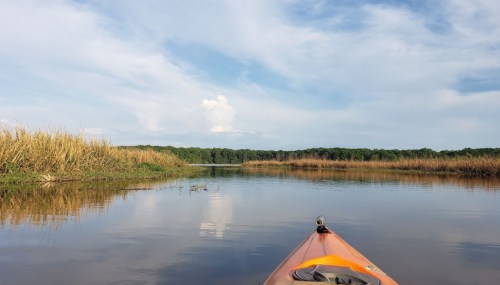 A kayak on calm water, surrounded by tall grasses and trees under a blue sky with fluffy clouds.