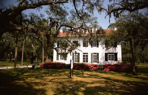 A white two-story house surrounded by lush greenery and blooming flowers, with Spanish moss hanging from trees.