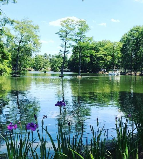 A serene lake surrounded by lush greenery and purple flowers, reflecting a clear blue sky and distant boats.