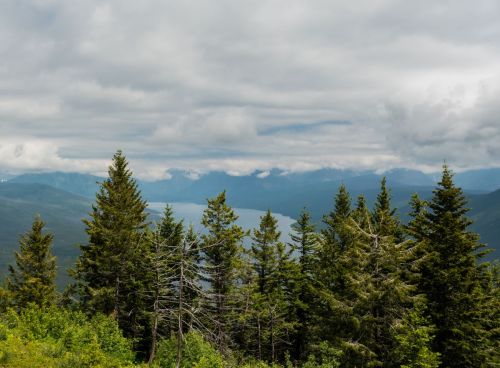 A scenic view of mountains and a lake, framed by lush green trees under a cloudy sky.