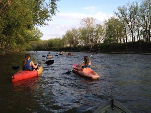 A group of people kayaking on a river surrounded by trees under a clear sky.