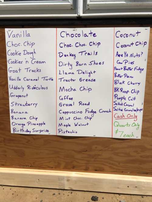 Menu board listing various ice cream flavors: Vanilla, Chocolate, and Coconut options with unique names for each flavor.