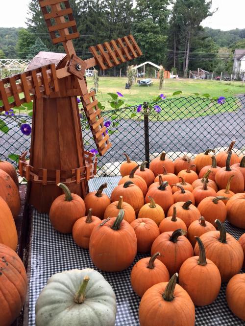 A wooden windmill beside a display of orange pumpkins and one green pumpkin on a checkered tablecloth.