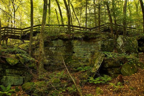 A wooden bridge above rocky terrain, surrounded by lush green trees and foliage in a serene forest setting.
