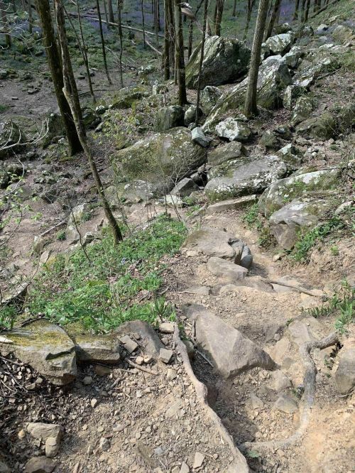 A rocky, uneven trail descends through a forested area with trees and moss-covered boulders.