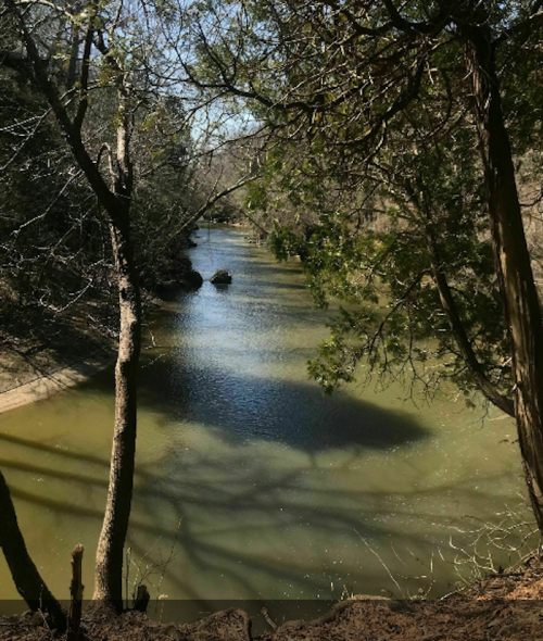 A serene river flows through a wooded area, surrounded by trees and dappled sunlight on the water's surface.