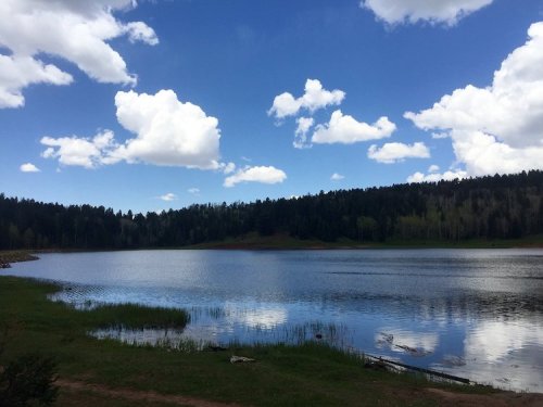 A serene lake surrounded by trees under a blue sky with fluffy white clouds reflecting on the water's surface.