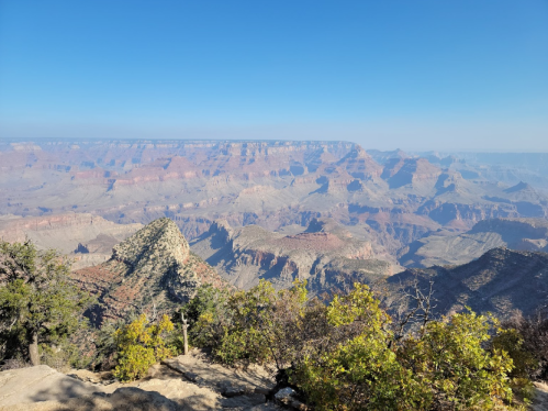 A panoramic view of the Grand Canyon, showcasing layered rock formations and a clear blue sky.