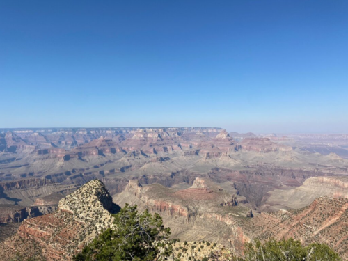 A panoramic view of the Grand Canyon, showcasing layered rock formations under a clear blue sky.