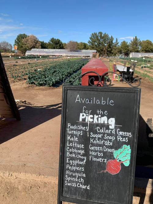 A chalkboard sign lists available vegetables for picking at a farm, with fields and greenhouses in the background.