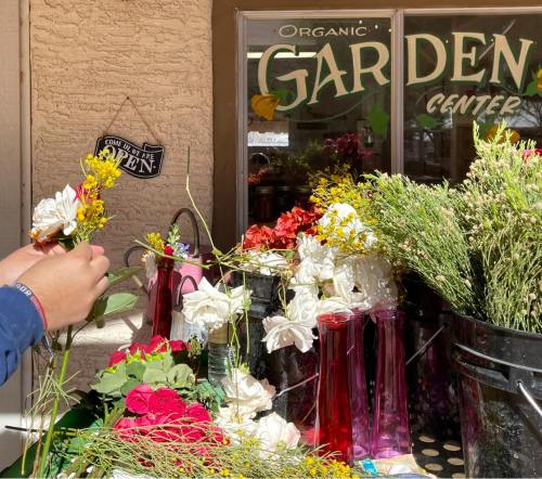 A hand holds flowers near a garden center with colorful blooms displayed in buckets outside.