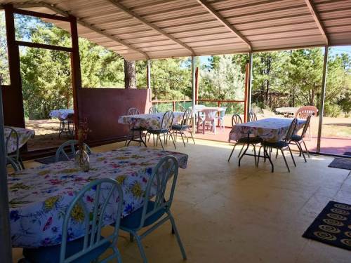A spacious outdoor dining area with tables covered in floral tablecloths, surrounded by trees and natural light.
