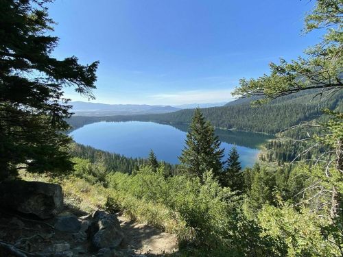 A serene lake surrounded by lush green trees and mountains under a clear blue sky.