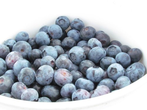 A close-up of a bowl filled with fresh, plump blueberries in various shades of blue and purple.
