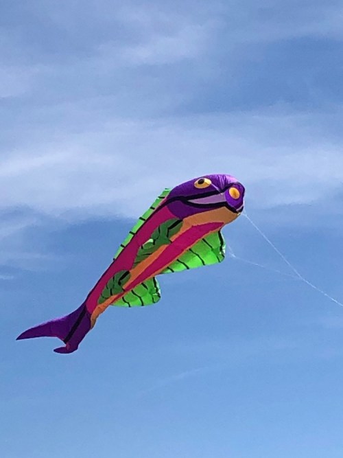 A colorful fish-shaped kite soaring in a blue sky with wispy clouds.