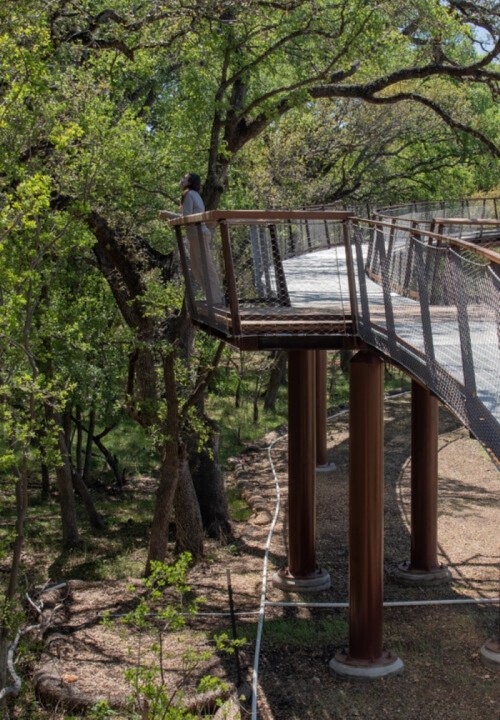 A person stands on a wooden walkway among trees, observing the surroundings from an elevated viewpoint.