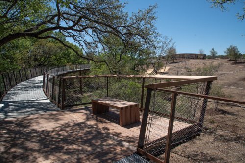 A wooden bench on a winding walkway surrounded by trees and open land under a clear blue sky.