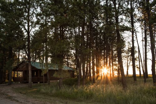 A rustic cabin nestled among tall pine trees, with the sun setting in the background, casting warm light through the branches.
