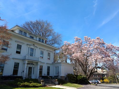 A white house with a large porch beside a blooming pink tree under a clear blue sky.