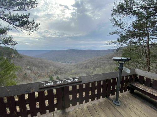 View from Laurel Gulf Overlook, showcasing a vast valley with trees and a cloudy sky in the background.
