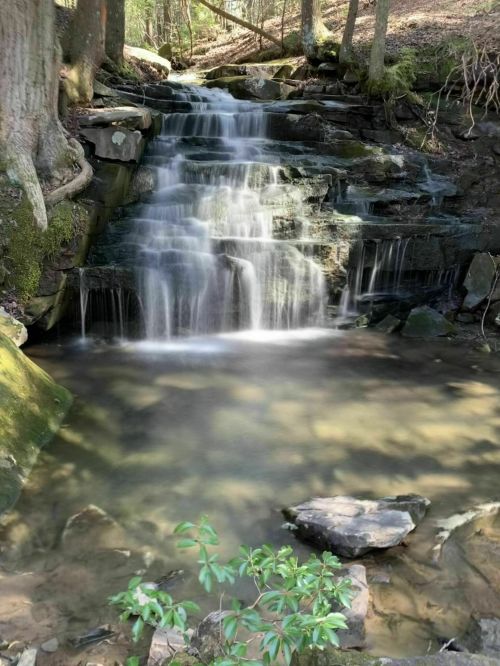 A serene waterfall cascading over rocks into a clear pool, surrounded by lush greenery and trees.