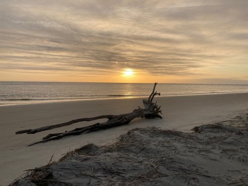 A serene beach at sunset, featuring a driftwood log on the sand and soft waves under a colorful sky.