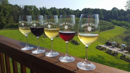 Five wine glasses filled with different wines sit on a wooden railing, overlooking a lush vineyard under a clear sky.