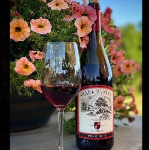 A glass of red wine beside a bottle of Shade Winery Pinot Noir, with colorful flowers in the background.