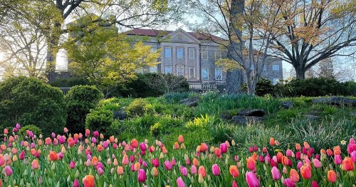 A historic building surrounded by vibrant tulip flowers and lush greenery under a clear sky.