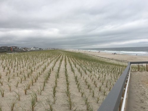 A sandy beach with rows of grass, under a cloudy sky, and people in the distance enjoying the shore.