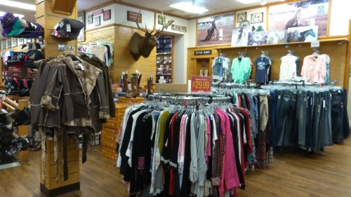 A retail store interior featuring clothing racks, jackets, and a mounted moose head on the wall.